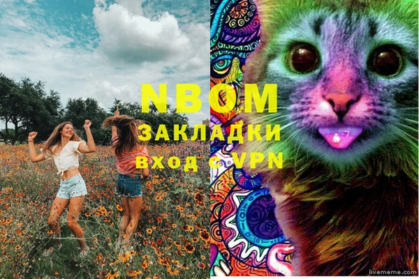 хмурый Зерноград