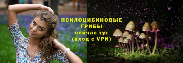 хмурый Зерноград