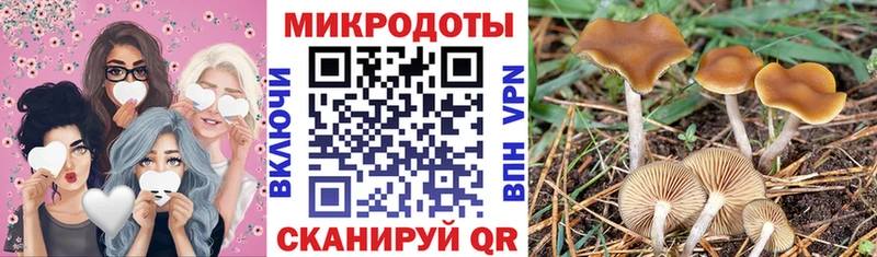 Псилоцибиновые грибы ЛСД  Купить  Краснообск 